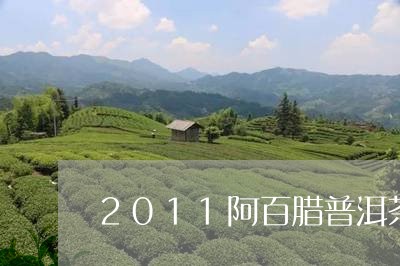 2011阿百腊普洱茶/2023100688481