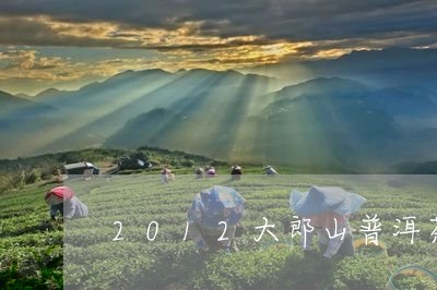 2012大郎山普洱茶/2023080154916