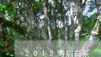 2012寿眉白茶/2023090848472