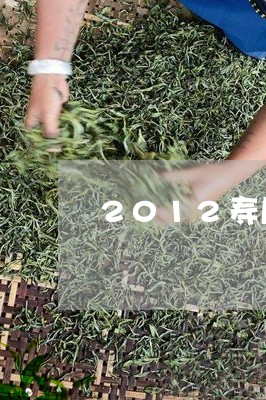 2012寿眉老白茶/2023091498360