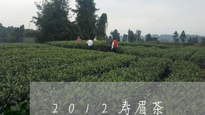 2012寿眉茶/2023112549270