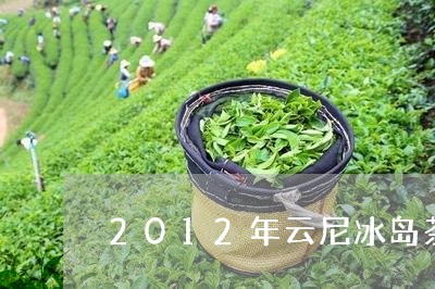 2012年云尼冰岛茶/2023092352706