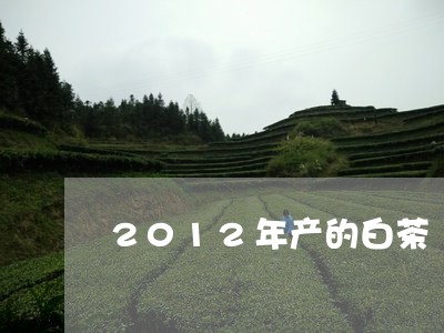 2012年产的白茶/2023121539302