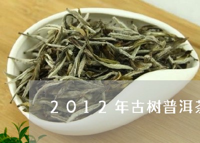 2012年古树普洱茶/2023062531940