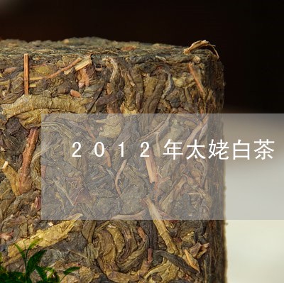 2012年太姥白茶/2023121591713