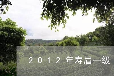 2012年寿眉一级/2023120496493