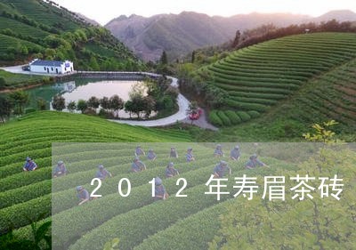 2012年寿眉茶砖/2023120477473