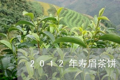 2012年寿眉茶饼/2023120426238