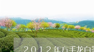 2012年方手龙白茶/2023092704940