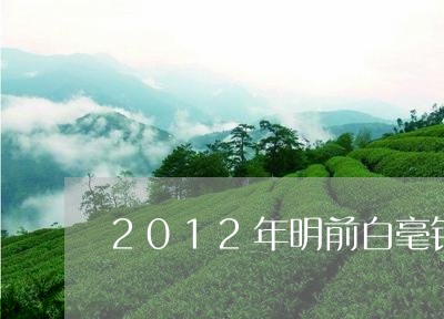 2012年明前白毫银针/2023092393926