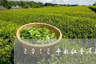 2012年永红普洱茶/2023100876079