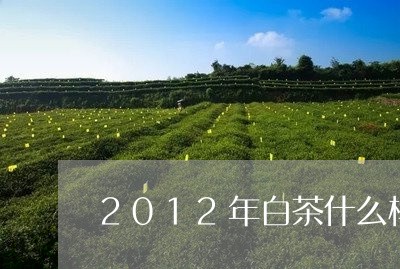 2012年白茶什么样/2023092865028