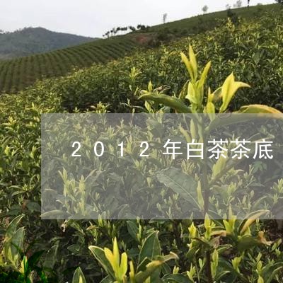 2012年白茶茶底/2023071361513