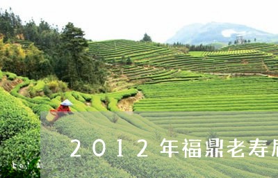 2012年福鼎老寿眉白茶解说/2023082625147