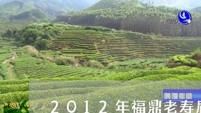 2012年福鼎老寿眉白茶解说/2023111683725