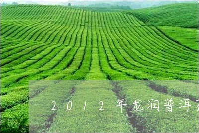 2012年龙润普洱茶/2023100706936