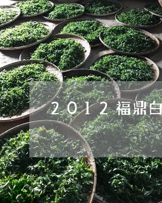 2012福鼎白茶白毫银针/2023092618595