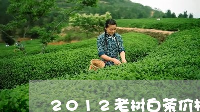 2012老树白茶价格/2023092746147