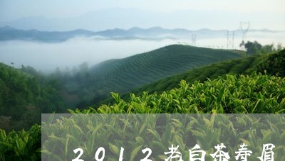 2012老白茶寿眉/2023120516959