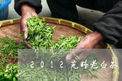 2012荒野老白茶/2023121584749