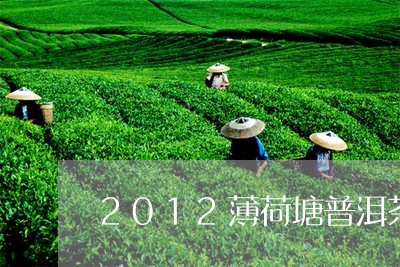 2012薄荷塘普洱茶/2023062882815