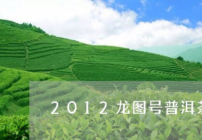 2012龙图号普洱茶/2023073171794