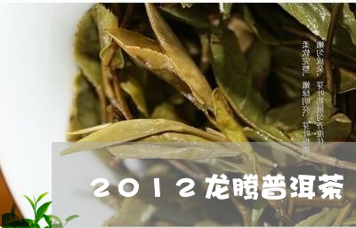 2012龙腾普洱茶/2023070884147