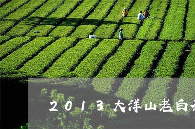 2013大洋山老白茶/2023080184151