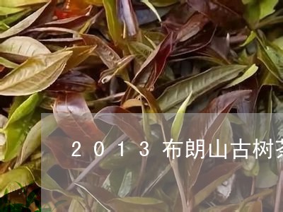 2013布朗山古树茶/2023061057161