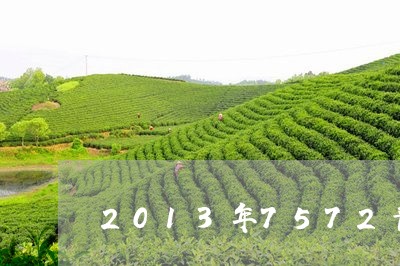 2013年7572普洱熟茶价格/2023060398379