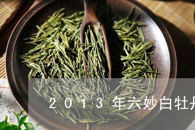 2013年六妙白牡丹茶/2023092392824