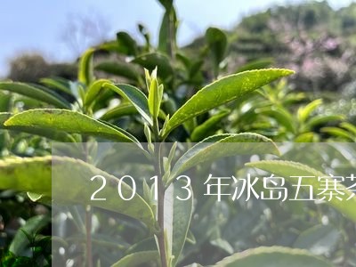 2013年冰岛五寨茶/2023092353503