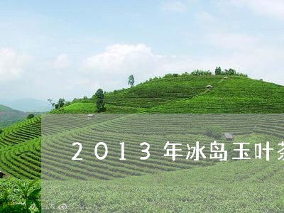 2013年冰岛玉叶茶价格/2023051216140