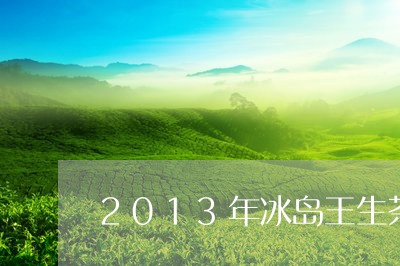 2013年冰岛王生茶/2023061177268