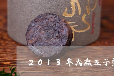 2013年大益五子登科生茶/2023052602159