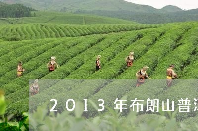 2013年布朗山普洱茶生茶价格/2023060221694