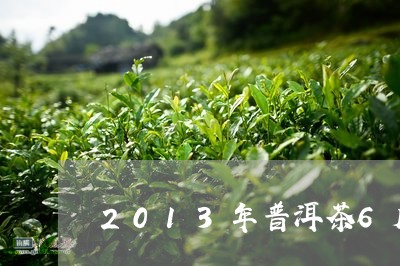 2013年普洱茶6斤/2023080370513