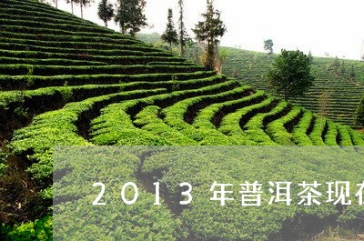 2013年普洱茶现在价格是多少/2023082829494