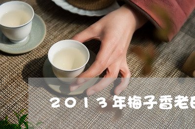 2013年梅子香老白茶/2023073128351