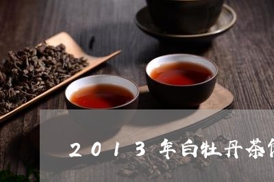 2013年白牡丹茶饼/2023071695350