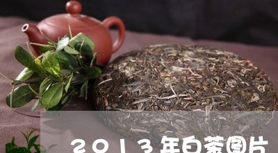 2013年白茶图片/2023121585049