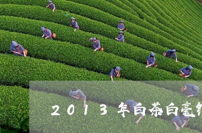 2013年白茶白毫银针/2023092450592