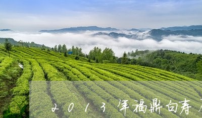 2013年福鼎白寿眉茶饼/2023062704251