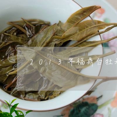 2013年福鼎白牡丹白茶/2023092610804