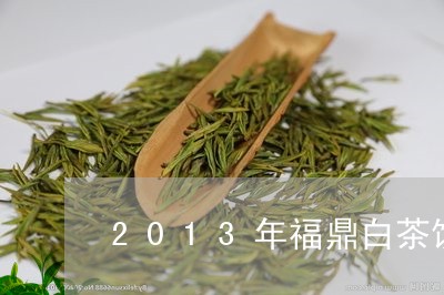 2013年福鼎白茶饼/2023120716069