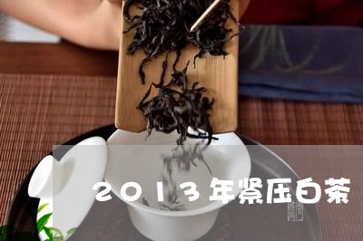 2013年紧压白茶/2023121514728