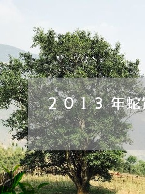 2013年蛇饼白茶/2023121537150