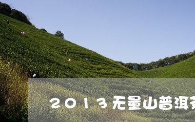 2013无量山普洱茶/2023062828392