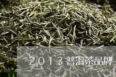 2013普洱茶品牌/2023071170725