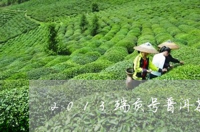 2013瑞贡号普洱茶/2023062742816